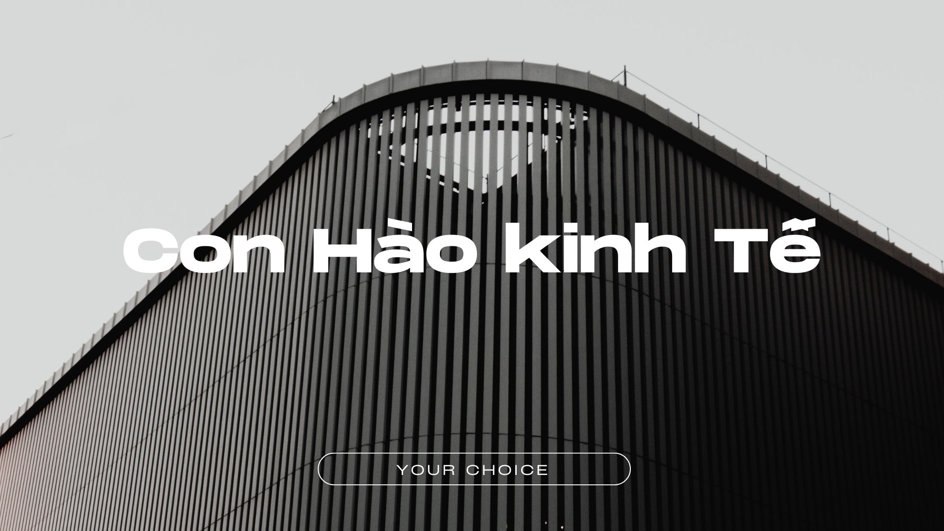 Con hào kinh tế kênh bán hàng riêng